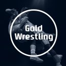 골드 레슬링 부산 이미지