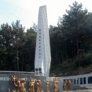 동란 Daum카페