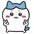 유아독존 | 2027 유아임용 유자쌤 유아독존 후기