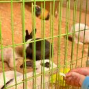 서암리농장 이미지