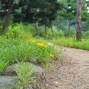 나들이어린이공원 이미지