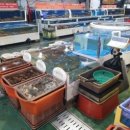 종합수산 이미지