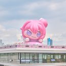 주식회사 코드쉬프트 이미지