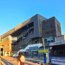 동천여행사 | 울진 당일치기 여행 코스 홍게 무한리필 스카이레일까지 완벽 정복!