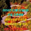 2024년 12월 22일(일) 주일 오후예배 호세아서 1장 1~2장 1절 순종의 삶이 하나님의 메세지 입니다 이미지