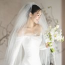 더드레스 이미지