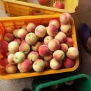 창신농장 이미지