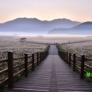 제26회 순천만 갈대축제(겨울) 이미지