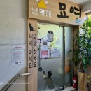 냥카페 묘연 네이버블로그