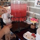 김녕오라이 이미지