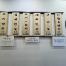 대구혁신손만두