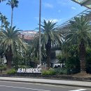 ㈜제주보고타렌트카 | 제주 렌트카 가성비 내돈내산 추천, 투어제주 보고타렌트카