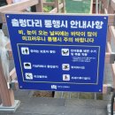 세븐일레븐 파주마장호수점 | 파주 마장호수 출렁다리 주말오픈런 후기(마장호수둘레길,무료입장, 주차장)