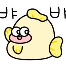 동대문하루상회 이미지