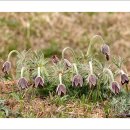 가야할머니 경로당 이미지