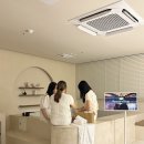 알리스테이 이미지