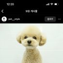 몽살롱 이미지