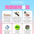 주식회사 월드 | 호주 시드니 블루마운틴 | 일일 투어 일정·가격 비교, 추천, 페더데일 동물원, 시닉월드 후기