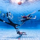 완산-1 | 전주프리다이빙 PSA 1레벨 강습 후기 완산수영장