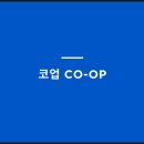 스템루트센터