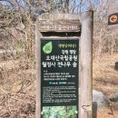 원당민박 | 강원도 여행 오대산 월정사 카페 ㅣ난다나 ㅣ오미자차 쌍화차 유자차 후기