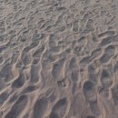 삼양검은모래해변 이미지