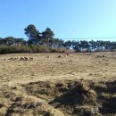 윤호목장 이미지