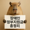 제주특별자치도지체장애인협회장애인활동지원센터 | 복잡한 장애인 지원금 신청, 이렇게 하면 수월합니다
