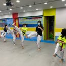 용인대중앙태권도장 이미지