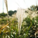 바람에 언덕 이미지