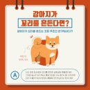 플렌몽 네이버블로그