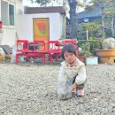 솔방울민박 이미지