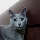 창서초등학교 이미지