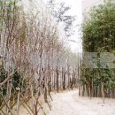 우성부동산공인중개사사무소 이미지