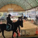 문백초등학교 이미지