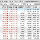 2024년 6월 21일 상승률 상위종목 이미지