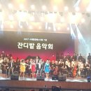 영광잔디 이미지