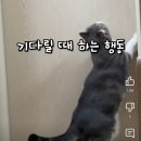 뭐야 유튜브 리밴스드 쓰니까 싫어요 수 다 보이네 이미지