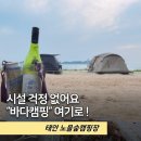 태안노을숲캠핑장 | 바다 바로 앞에서 해루질까지 "태안 노을숲캠핑장" 만족도 높은 이유
