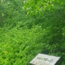 더불어숲 이미지