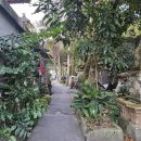 가우리 GAURI 이미지