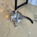 GR(태안군)-[근흥로]-하-3 | [블로그 챌린지 / 일상 포토덤프] 7주차 일상 포토 덤프