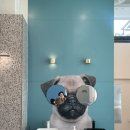 땡큐댕댕 이미지