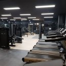 피트니스 다짐 이미지