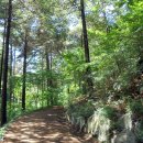 삼태기길 이미지