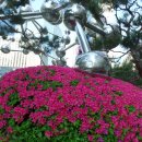 갤러리순 이미지