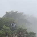 삼전사