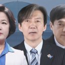 공수처법 개정에 관한 헤겔의 역사발전 법칙, 정반합 이미지