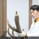 위풍당당한의원 이미지