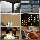 멍탕멍컷 | 떠난 2박3일 부산여행 2일차 | 청사포 해변열차, 해운대, 부산 근현대사 박물관, 부산 연등회...